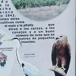 De Artistas Séjour à la campagne *