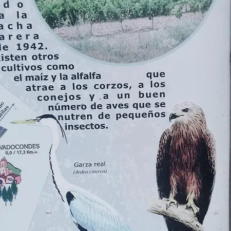 De Artistas Country house *